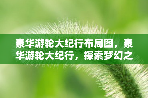 豪华游轮大纪行布局图，豪华游轮大纪行，探索梦幻之旅的布局与魅力