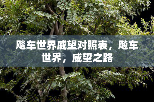 飚车世界威望对照表，飚车世界，威望之路