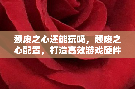 颓废之心还能玩吗，颓废之心配置，打造高效游戏硬件环境的关键要素