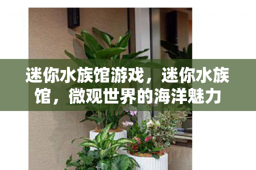 迷你水族馆游戏，迷你水族馆，微观世界的海洋魅力