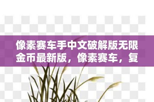 像素赛车手中文破解版无限金币最新版，像素赛车，复古与创新的完美结合
