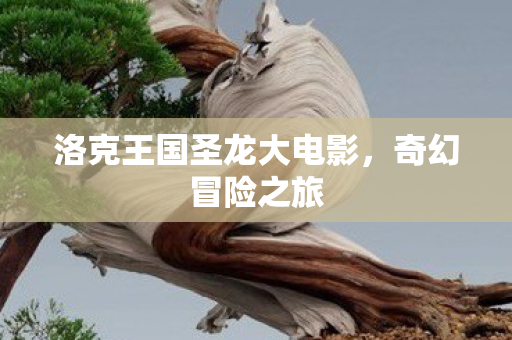 洛克王国圣龙大电影，奇幻冒险之旅