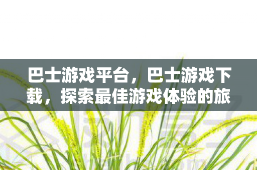 巴士游戏平台，巴士游戏下载，探索最佳游戏体验的旅程