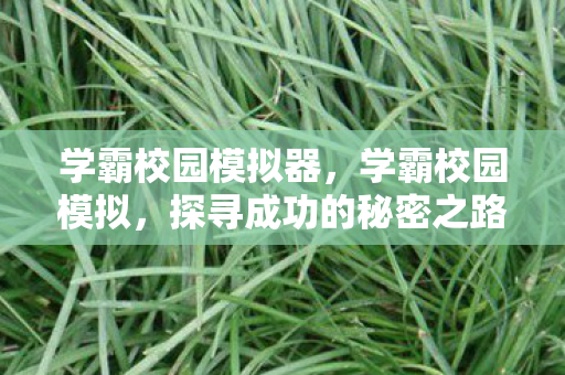 学霸校园模拟器，学霸校园模拟，探寻成功的秘密之路