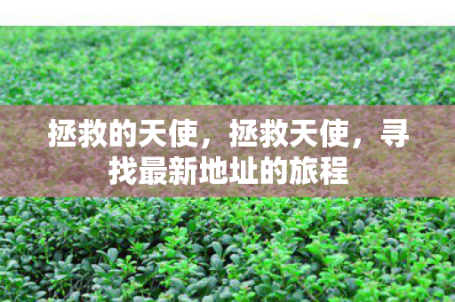 拯救的天使，拯救天使，寻找最新地址的旅程