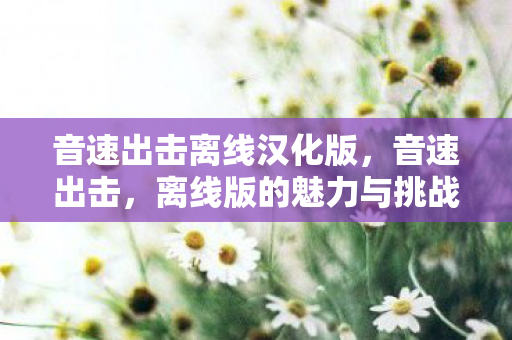 音速出击离线汉化版，音速出击，离线版的魅力与挑战