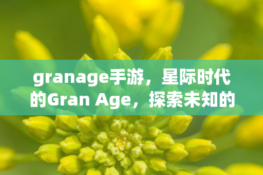 granage手游，星际时代的Gran Age，探索未知的宇宙边缘