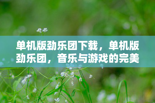 单机版劲乐团下载，单机版劲乐团，音乐与游戏的完美结合