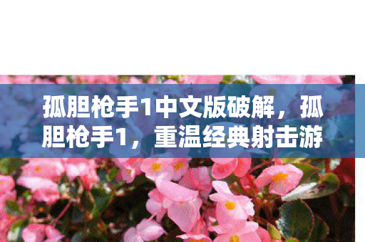 孤胆枪手1中文版破解，孤胆枪手1，重温经典射击游戏