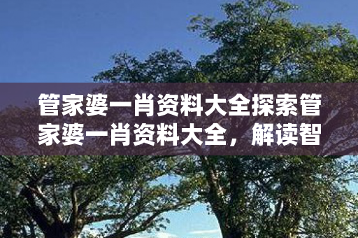 管家婆一肖资料大全探索管家婆一肖资料大全,解读智慧与效率的完美结合 管家婆一肖资料大全探索管家婆一肖资料大全,解读智慧与效率的完美结合