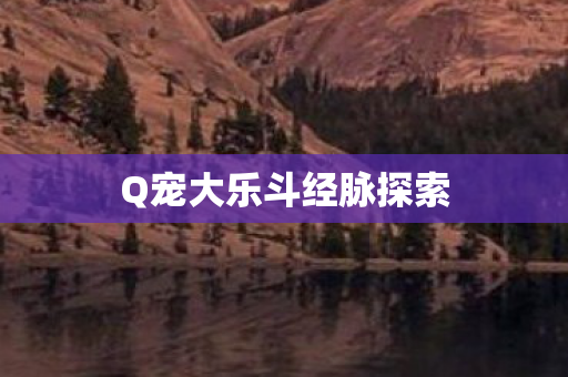 Q宠大乐斗经脉探索