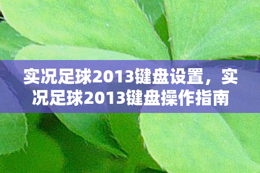 实况足球2013键盘设置，实况足球2013键盘操作指南