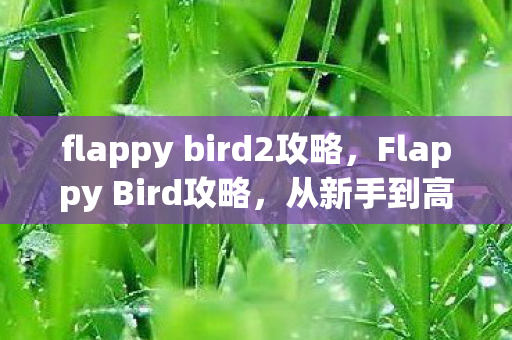 flappy bird2攻略，Flappy Bird攻略，从新手到高手的全面指南