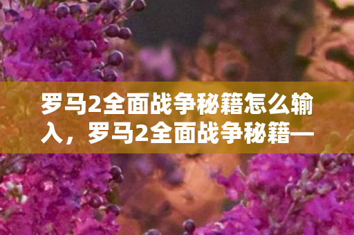 罗马2全面战争秘籍怎么输入，罗马2全面战争秘籍—策略、技巧与制胜之道