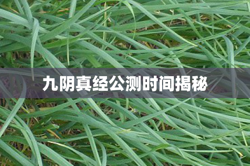 九阴真经公测时间揭秘