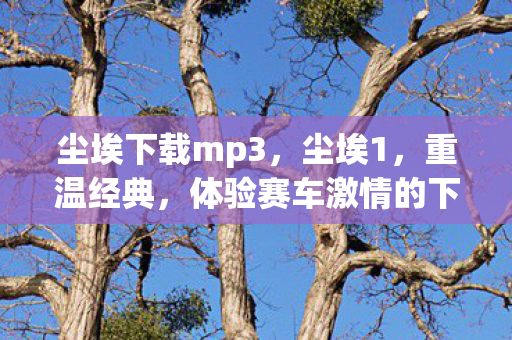 尘埃下载mp3，尘埃1，重温经典，体验赛车激情的下载之旅