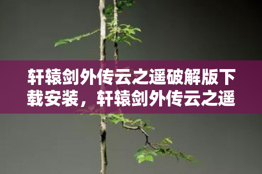 轩辕剑外传云之遥破解版下载安装，轩辕剑外传云之遥破解版下载，游戏迷的福音？还是法律风险边缘的游走？