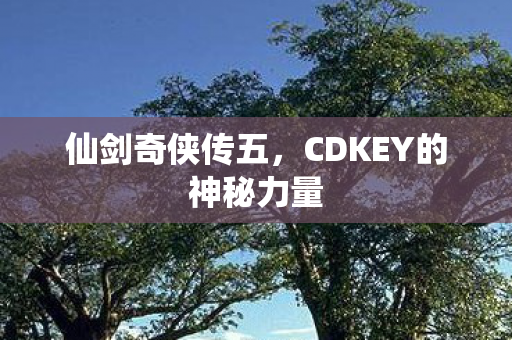 仙剑奇侠传五，CDKEY的神秘力量