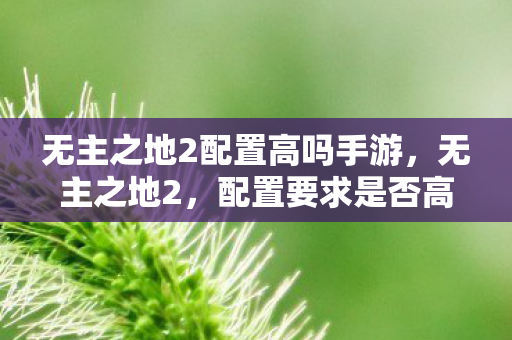 无主之地2配置高吗手游，无主之地2，配置要求是否高？