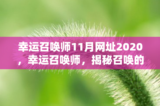 幸运召唤师11月网址2020，幸运召唤师，揭秘召唤的神秘之门（11月网址更新）