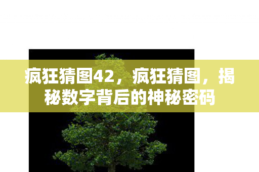 疯狂猜图42，疯狂猜图，揭秘数字背后的神秘密码