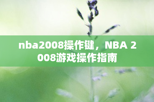 nba2008操作键，NBA 2008游戏操作指南