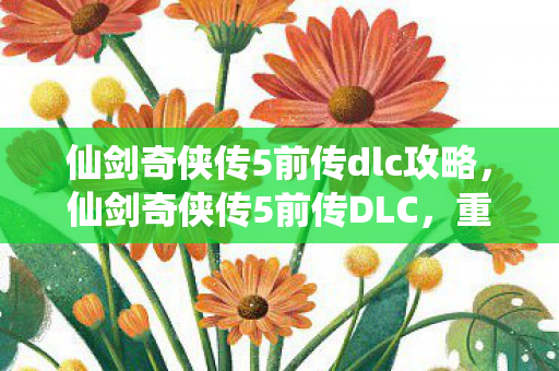 仙剑奇侠传5前传dlc攻略，仙剑奇侠传5前传DLC，重温经典，续写传奇