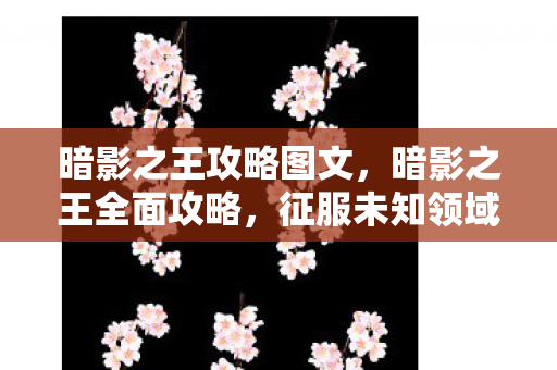 暗影之王攻略图文，暗影之王全面攻略，征服未知领域的终极指南