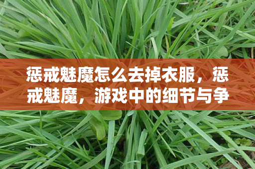 惩戒魅魔怎么去掉衣服，惩戒魅魔，游戏中的细节与争议探讨