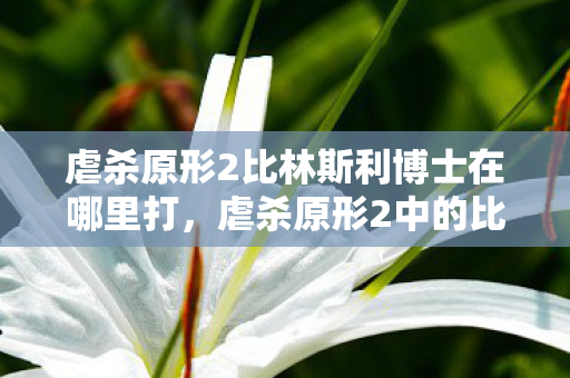虐杀原形2比林斯利博士在哪里打，虐杀原形2中的比林斯利博士究竟在哪里？