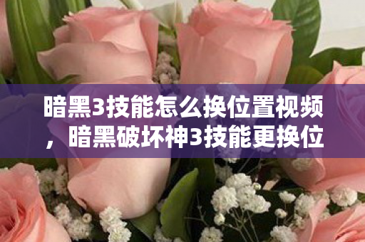 暗黑3技能怎么换位置视频，暗黑破坏神3技能更换位置攻略