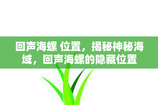回声海螺 位置，揭秘神秘海域，回声海螺的隐藏位置