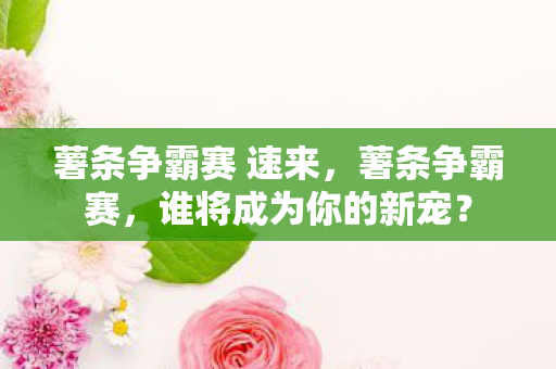 薯条争霸赛 速来，薯条争霸赛，谁将成为你的新宠？