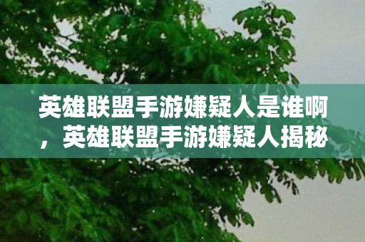 英雄联盟手游嫌疑人是谁啊，英雄联盟手游嫌疑人揭秘，迷雾中的真相探寻者