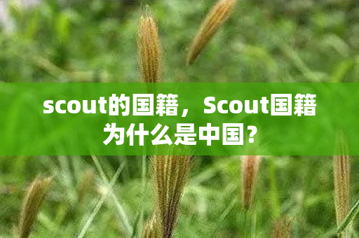 scout的国籍，Scout国籍为什么是中国？