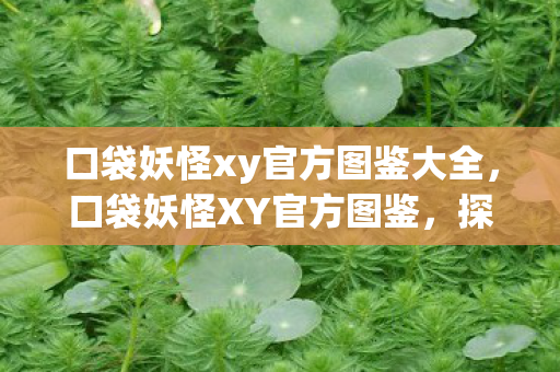 口袋妖怪xy官方图鉴大全，口袋妖怪XY官方图鉴，探索神奇世界的宝藏