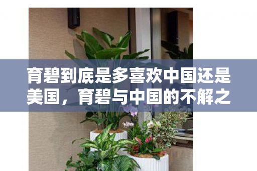 育碧到底是多喜欢中国还是美国，育碧与中国的不解之缘，深度探究背后的故事