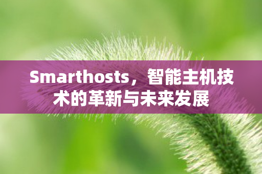 Smarthosts，智能主机技术的革新与未来发展