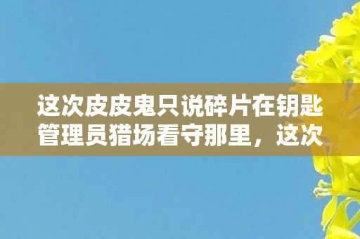 这次皮皮鬼只说碎片在钥匙管理员猎场看守那里，这次皮皮鬼只说碎片在钥匙管理员—解锁碎片化的世界与数字时代的挑战
