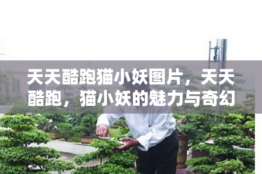 天天酷跑猫小妖图片，天天酷跑，猫小妖的魅力与奇幻之旅