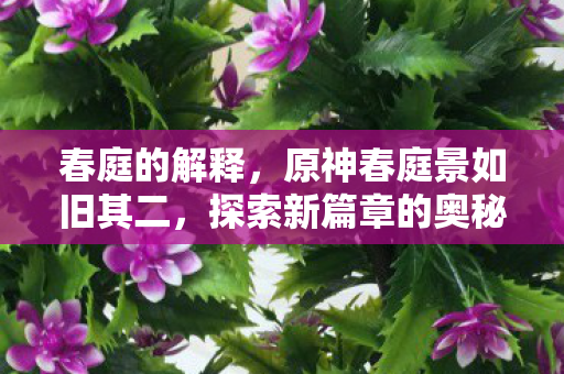 春庭的解释，原神春庭景如旧其二，探索新篇章的奥秘与美景
