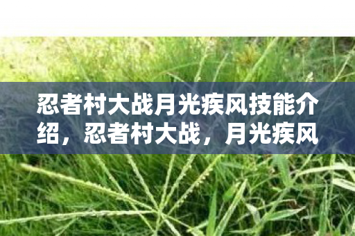 忍者村大战月光疾风技能介绍，忍者村大战，月光疾风