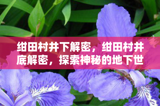 绀田村井下解密，绀田村井底解密，探索神秘的地下世界