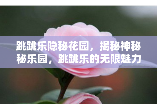 跳跳乐隐秘花园，揭秘神秘秘乐园，跳跳乐的无限魅力与探险之旅