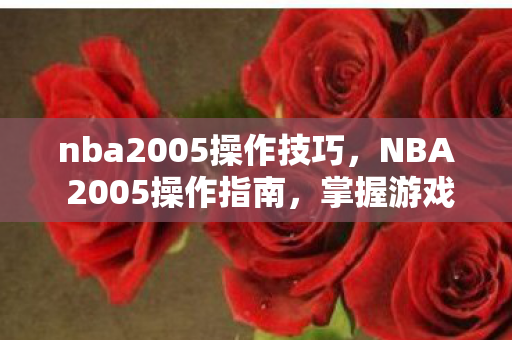 nba2005操作技巧，NBA 2005操作指南，掌握游戏技巧，成为赛场高手