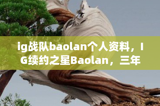 ig战队baolan个人资料，IG续约之星Baolan，三年之约背后的故事