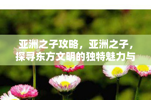 亚洲之子攻略，亚洲之子，探寻东方文明的独特魅力与未来展望