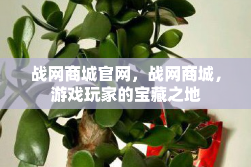 战网商城官网，战网商城，游戏玩家的宝藏之地