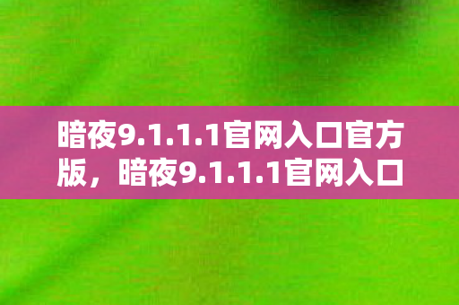 暗夜9.1.1.1官网入口官方版，暗夜9.1.1.1官网入口，探索未知世界的神秘之门