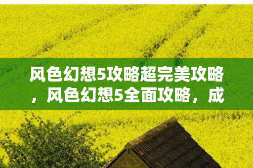 风色幻想5攻略超完美攻略，风色幻想5全面攻略，成为顶尖玩家的必经之路